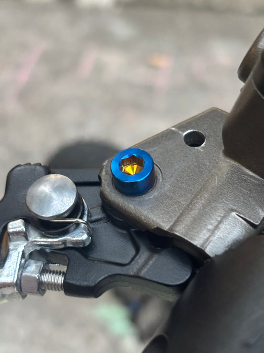 Ultra Bee Brake Pivot Bolt