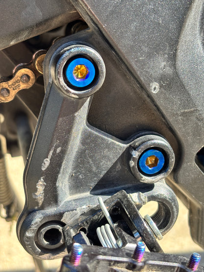 E-Moto Peg mount Titanium